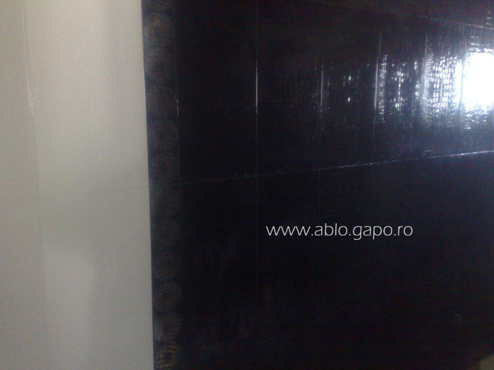 Faianta_neagra_cu_model_si_alba_1