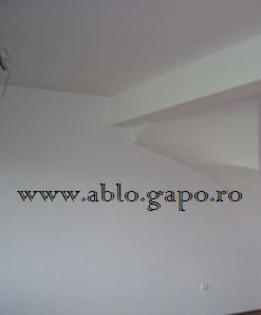Zugraveala alba 1