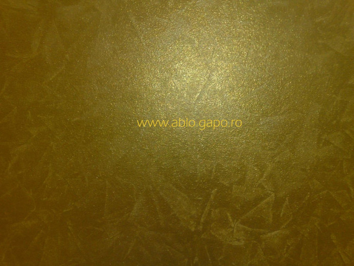 Zugraveala_decorativa_3