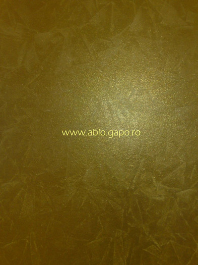 Zugraveala_decorativa_4