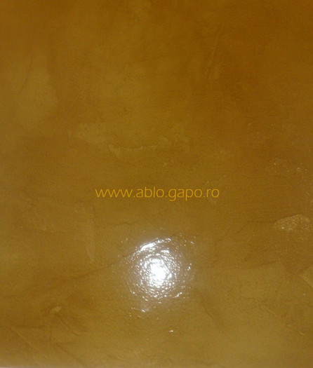 Zugraveala_decorativa_5