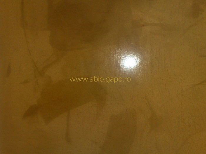 Zugraveala_decorativa_6