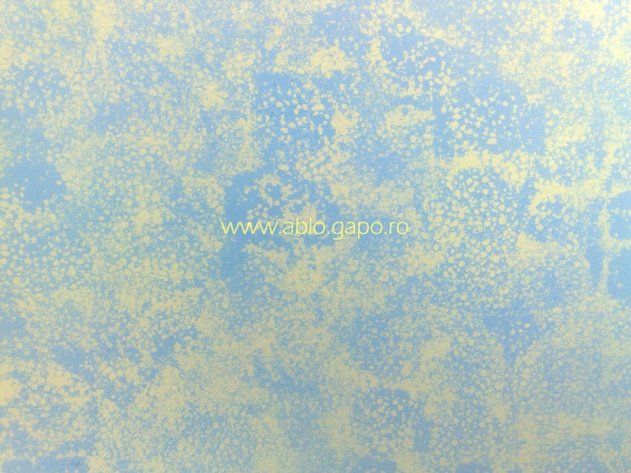 Zugraveala_decorativa_9
