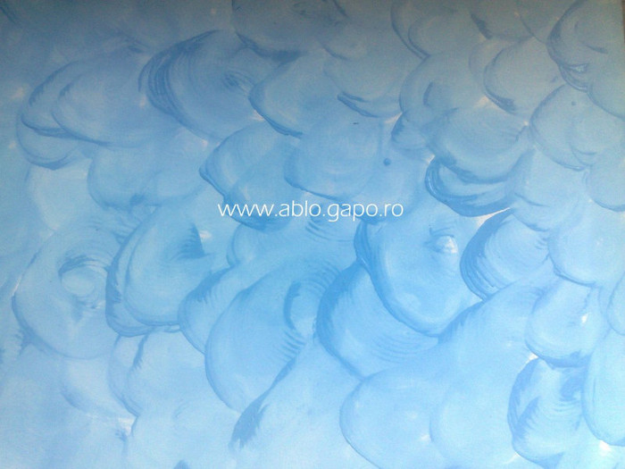 Zugraveala_decorativa_10
