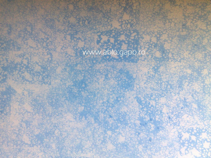 Zugraveala_decorativa_12