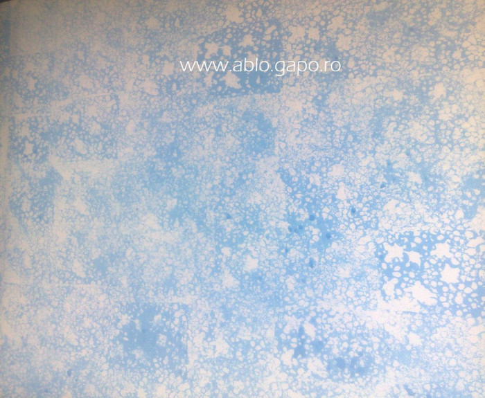 Zugraveala_decorativa_13