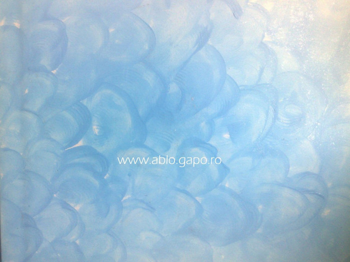 Zugraveala_decorativa_15