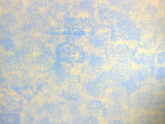 Zugraveala_decorativa_18