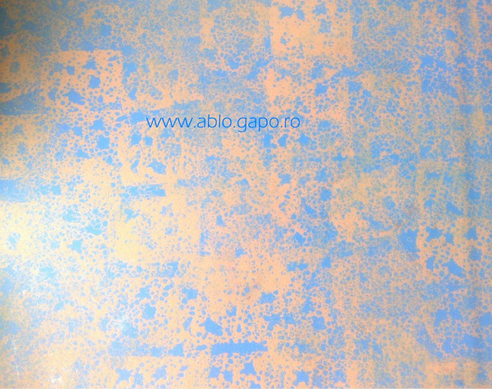 Zugraveala_decorativa_19