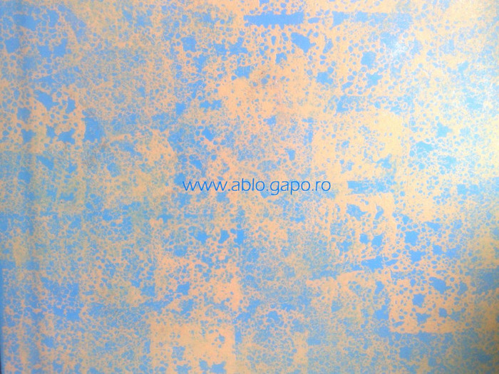 Zugraveala_decorativa_20