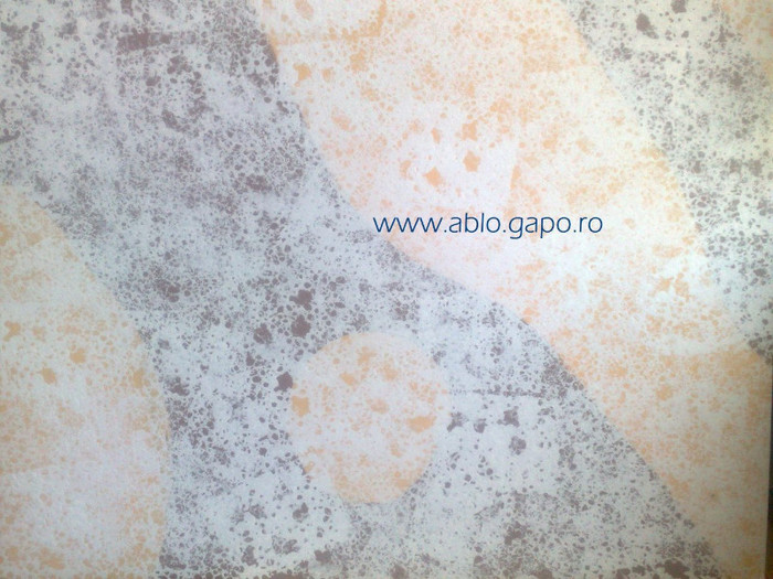 Zugraveala_decorativa_21
