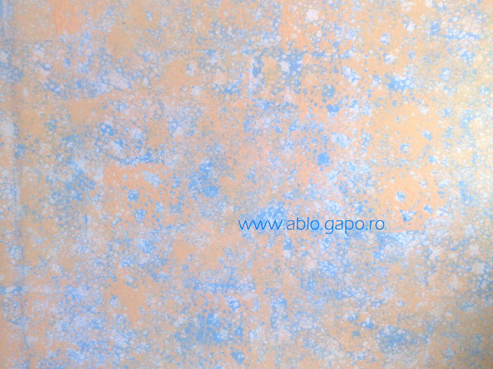 Zugraveala_decorativa_23