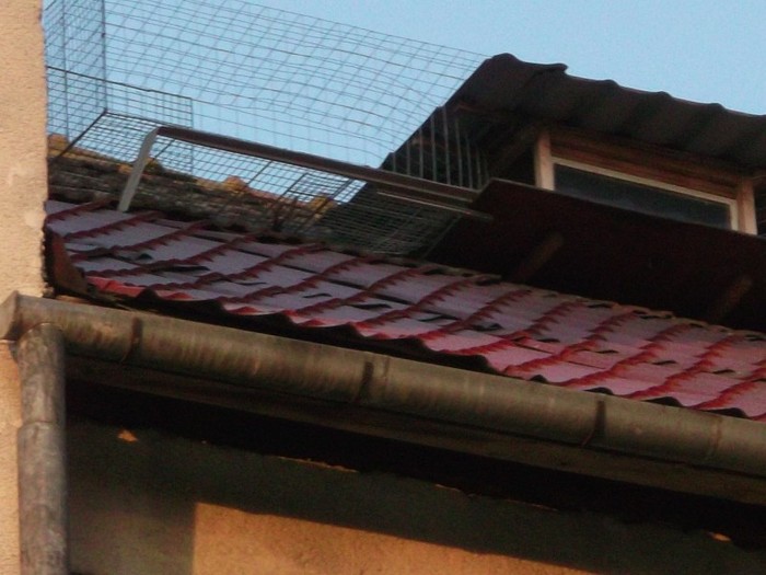 DSCF3915 - FERMA LUI NENEA TONY