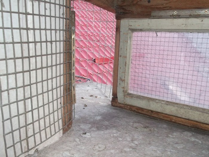 DSCF3924 - FERMA LUI NENEA TONY