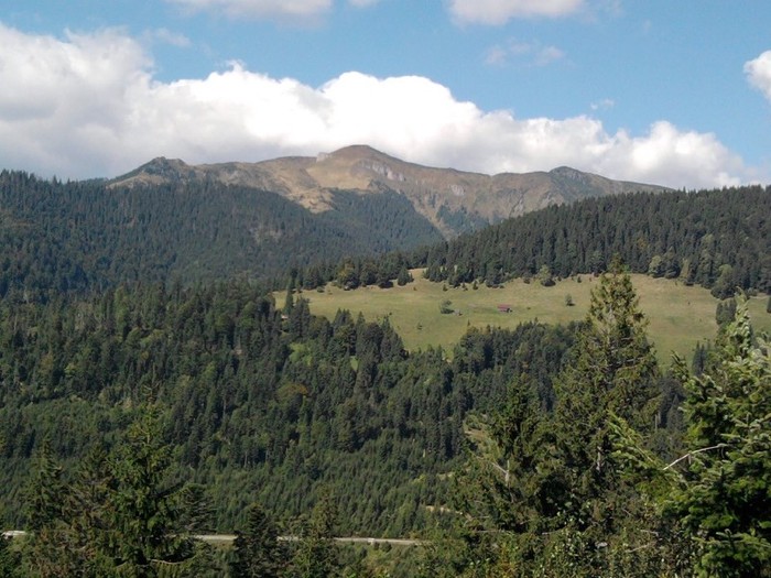 Fotografie0701 - Peisaje din Vatra Dornei si imprejurimi Bucovina