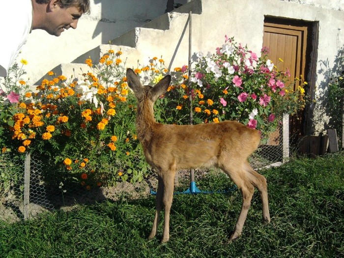 Fotografie0738 - Peisaje din Vatra Dornei si imprejurimi Bucovina