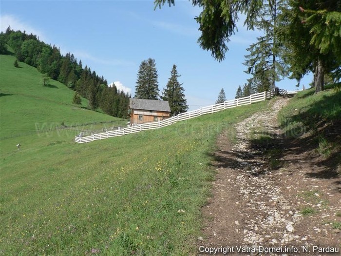 306636_413254168688432_100000115577178_1694263_1347089878_n