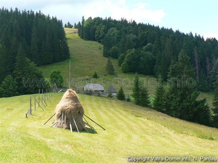 522212_413254495355066_100000115577178_1694271_300010267_n