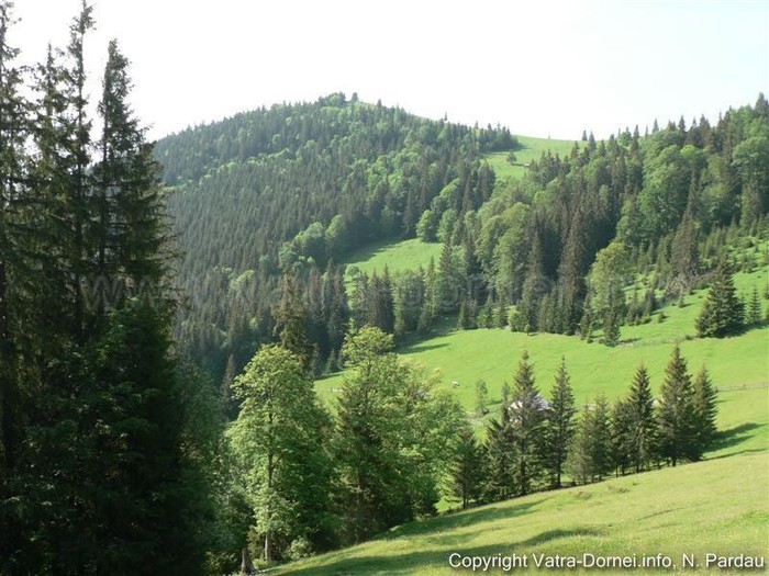 555805_413254208688428_100000115577178_1694264_1546665032_n