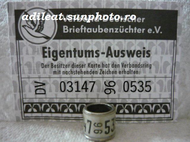 DV-1996 - GERMANIA-DV-ring collection