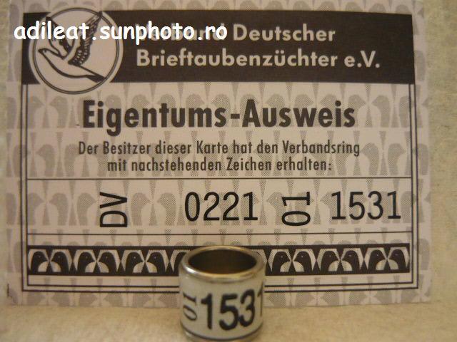 DV-2001 - GERMANIA-DV-ring collection