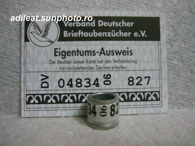 DV-2006 - GERMANIA-DV-ring collection