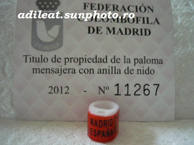 ESP-2012-MADRID - SPANIA-ESP-ring collection
