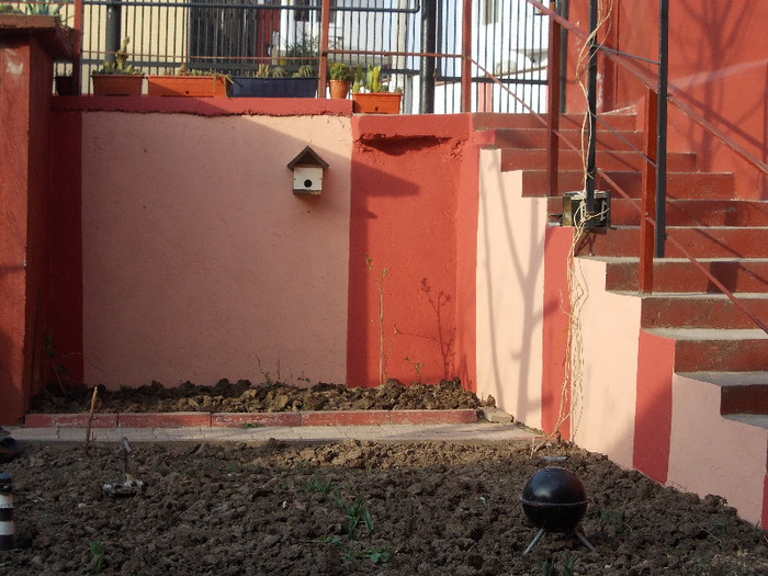 gradina din spatele casei in aprilie