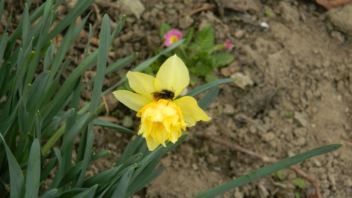 DSCN0686
