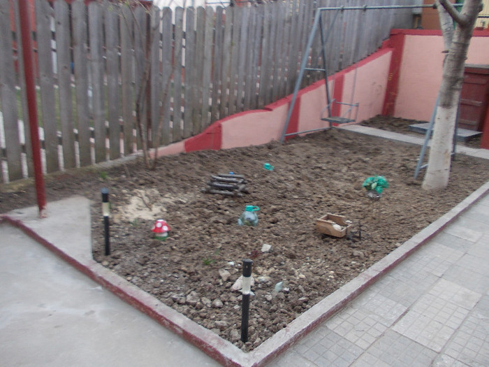 gradina din spatele casei4