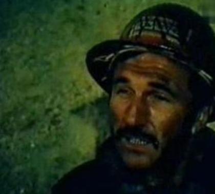 Cuibul Salamandrelor