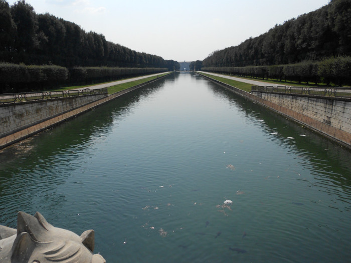 bazinele pline cu pesti