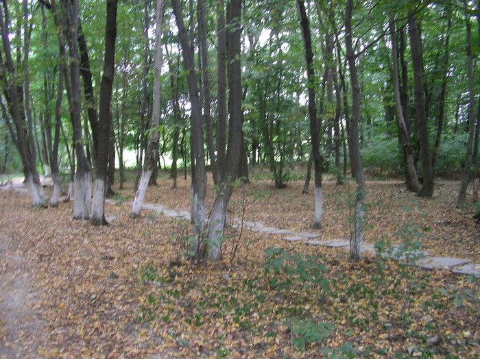 SANY0119 - Nucet- Dambovita