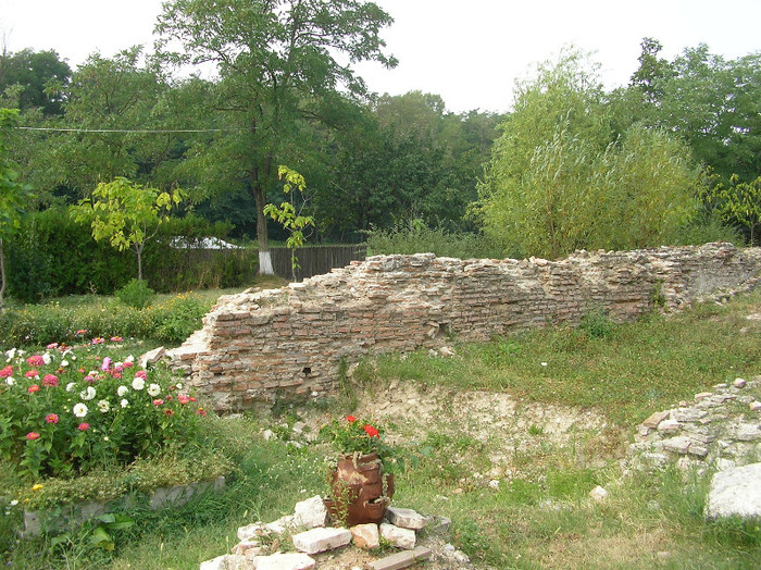 SANY0106 - Nucet- Dambovita