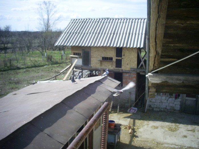 AICI BEAU CAFEAUA DIMINEATA