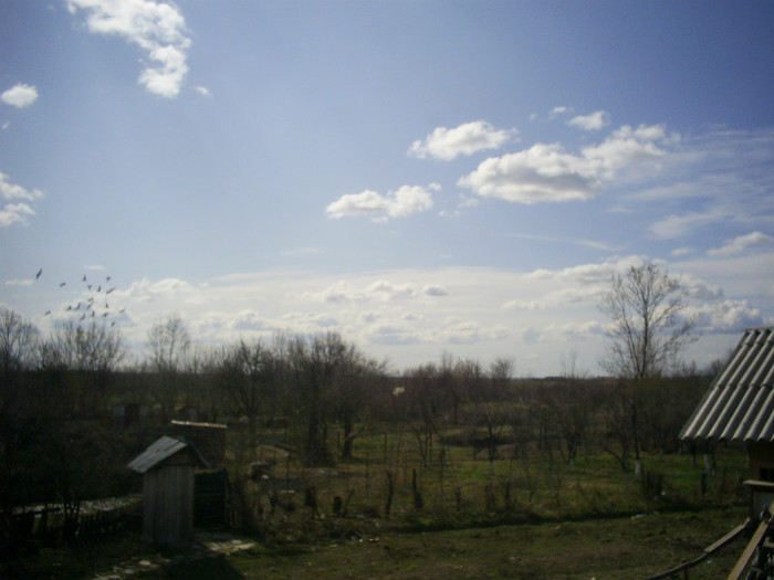 IN ZBOR (POZITIE CE SPUNE-TI?)