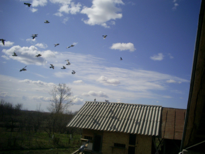 ATERIZAREA (CRED EU POZITIE BUNA)