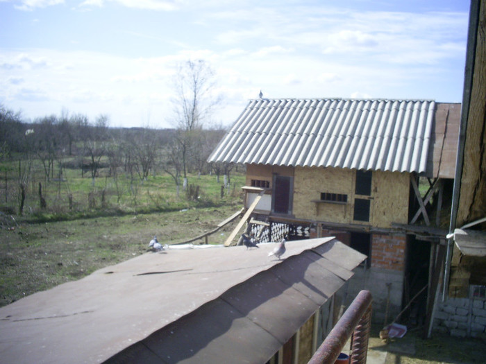 PRIVESC LA EI CATE 2-3 ORE PE ZI special cand beau cafeaua:p:p:p