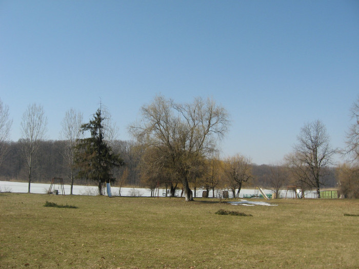 lacul Snagov - la padure