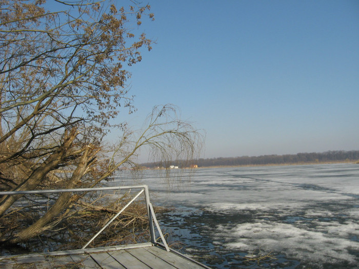 lacul Snagov - la padure