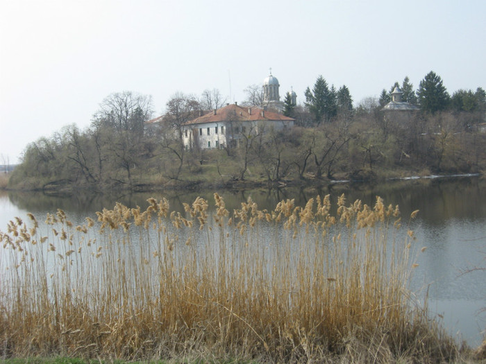 am ajuns  dupa ce am umblat ceva prin paduri - la padure