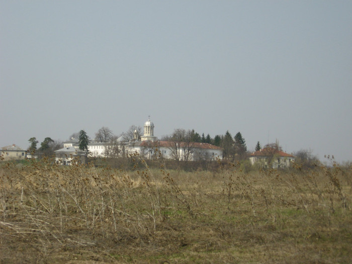 IMG_3625 - la padure