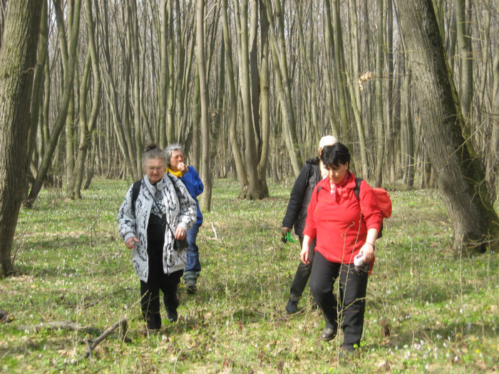 echipa 9 doamne iubitoare de natura si drumetii - la padure