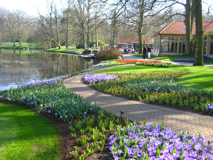 23.03.2012 o zi de vis 008 - Keukenhof 2012