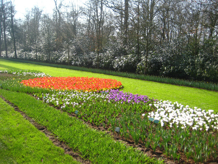 23.03.2012 o zi de vis 003 - Keukenhof 2012