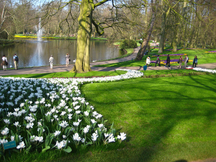 23.03.2012 o zi de vis 014 - Keukenhof 2012