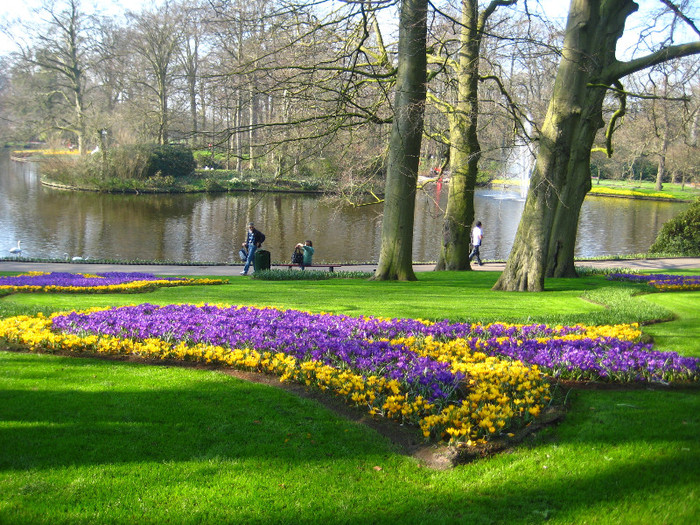 23.03.2012 o zi de vis 015 - Keukenhof 2012