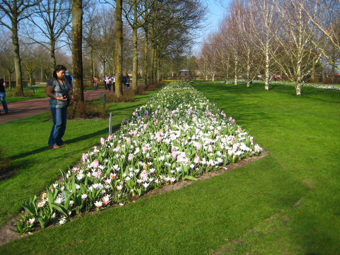 23.03.2012 o zi de vis 025 - Keukenhof 2012