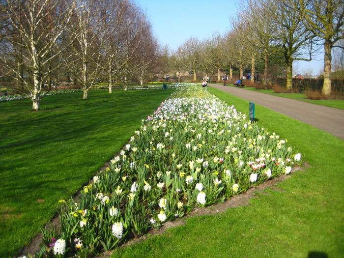 23.03.2012 o zi de vis 026 - Keukenhof 2012