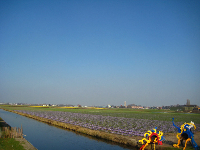 23.03.2012 o zi de vis 028 - Keukenhof 2012